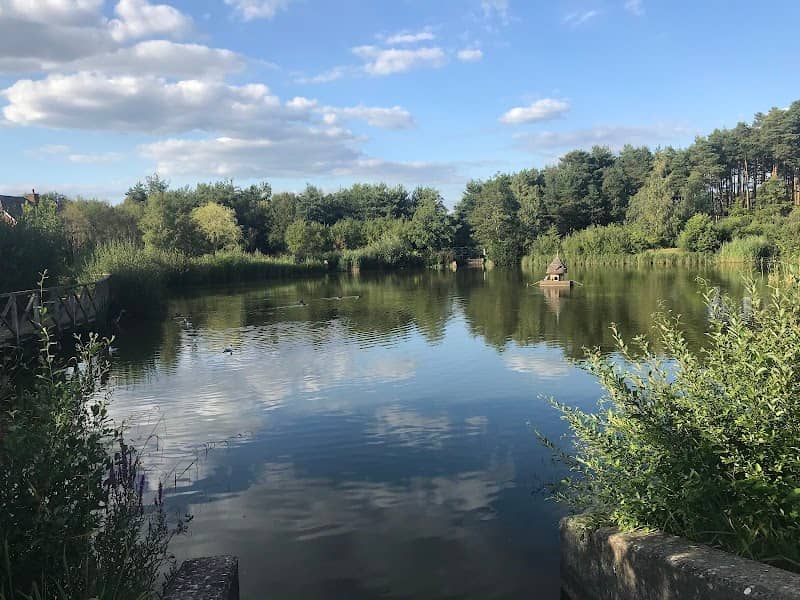 Elvetham Heath Nature Reserve - Image 1
