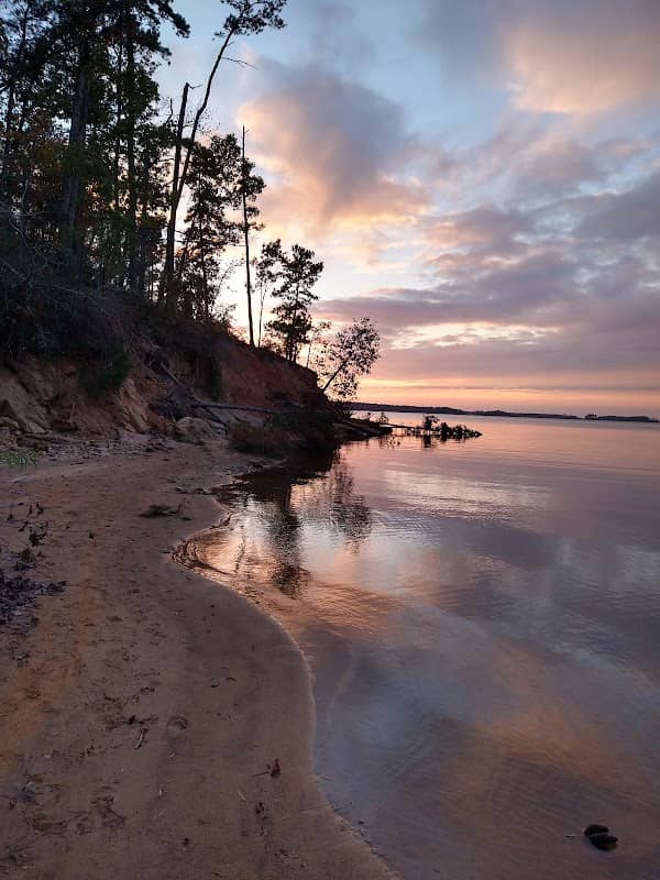 Clarks Hill Park Dog Beach - Image 2