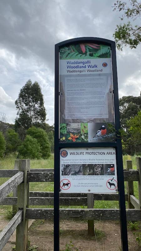 Waddangalli Woodland Reserve - Image 1