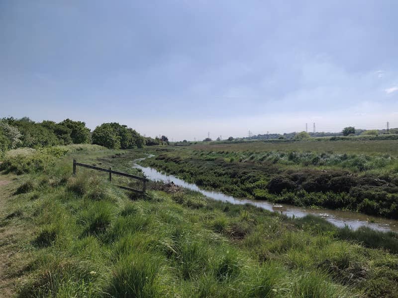 Woodham Fen - Image 2