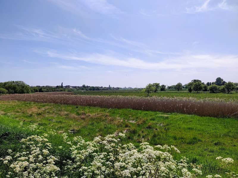 Woodham Fen - Image 1