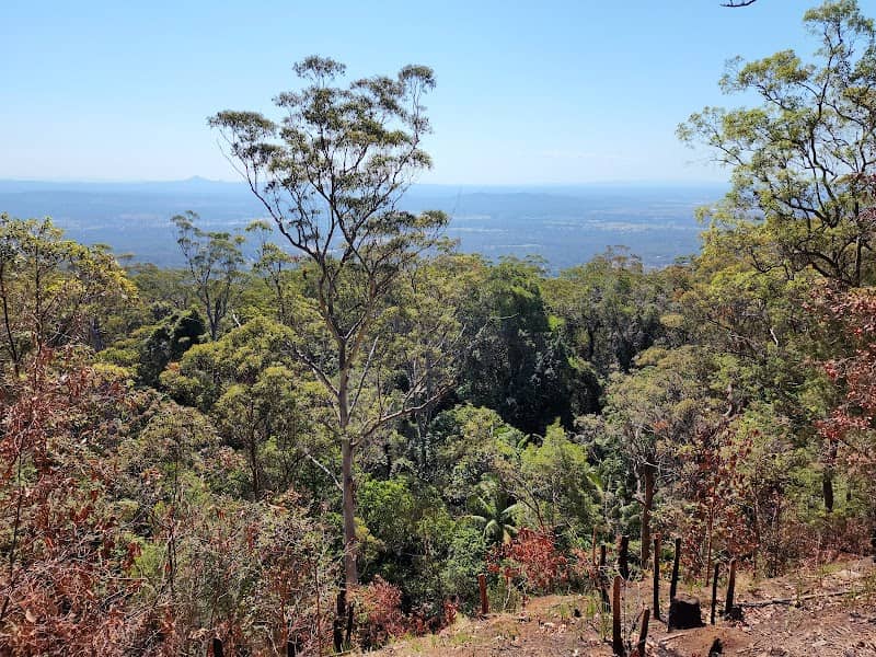 The Knoll Section - Image 1