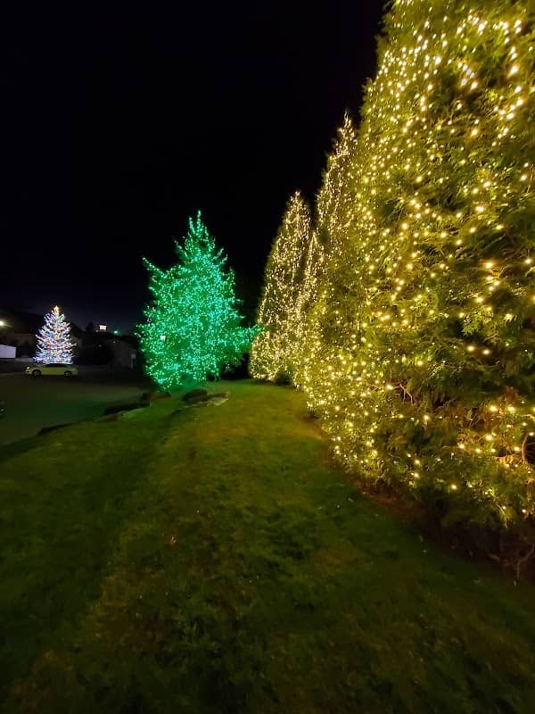 Kelsey-Hutchinson Founders Park - Image 1