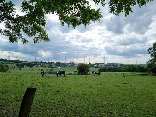 Asseln Aussichtspunkt - Image 2