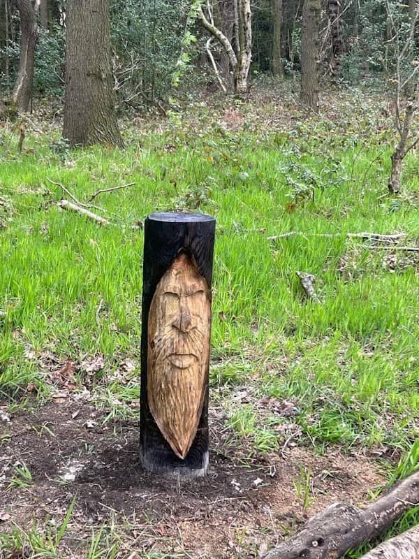 Earnshaws' Nature Trail - Image 2