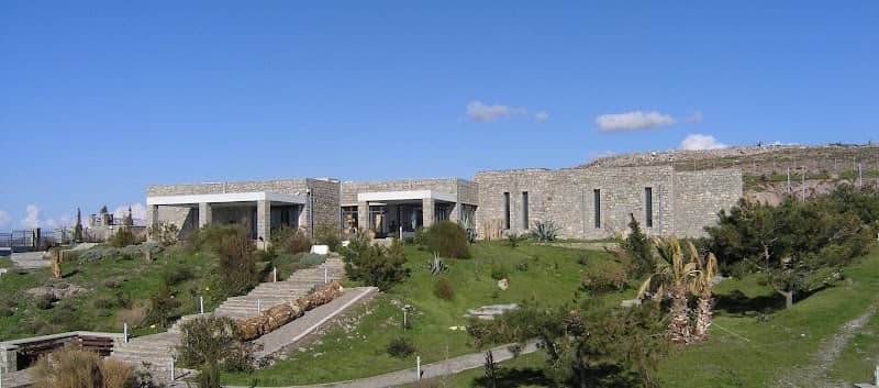 Natural History Museum of the Lesvos Petrified Forest - Image 1