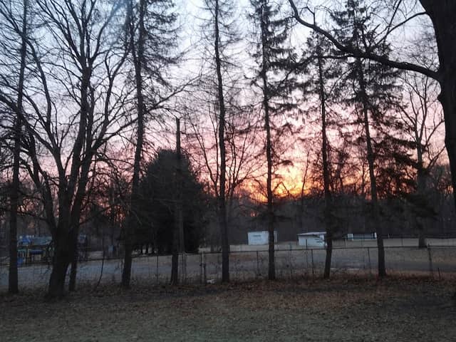 Wedgewood Park - Image 1