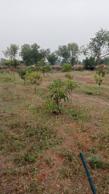 Bhairavgarh farm house - Image 1