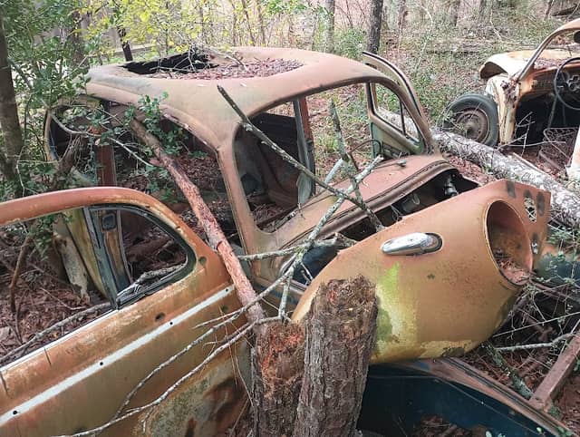 Ancient Volkswagen Beetles - Image 1