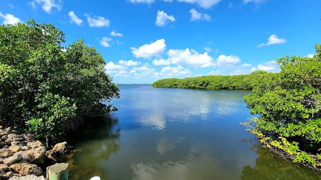Vitolo Family Preserve South - Image 1