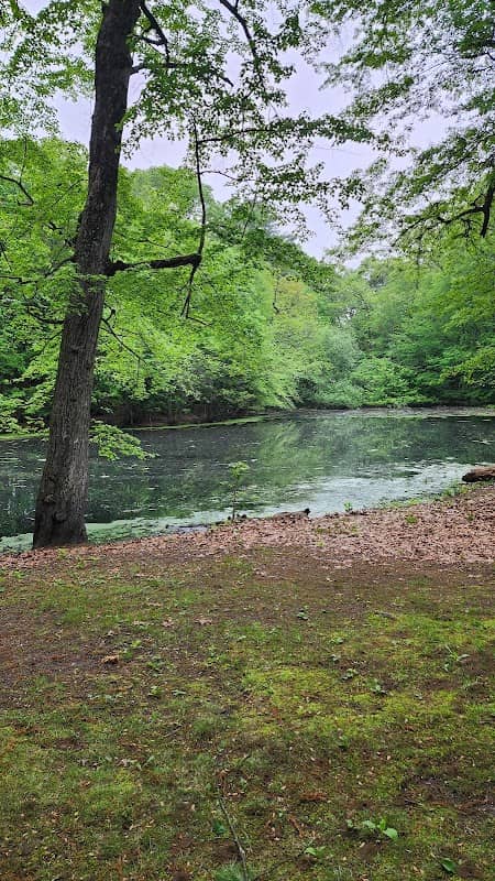 Van Horn Park - Image 1