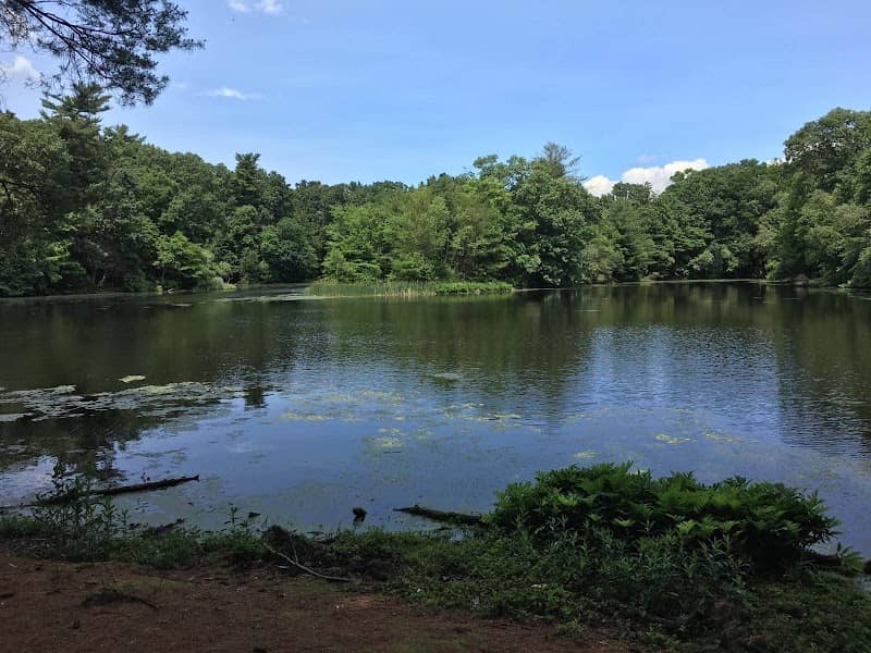 Van Horn Park - Image 2