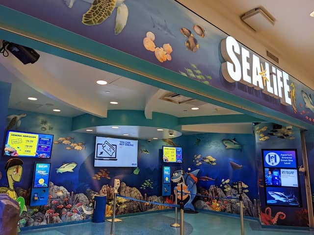 SEA LIFE at Mall of America - Image 2