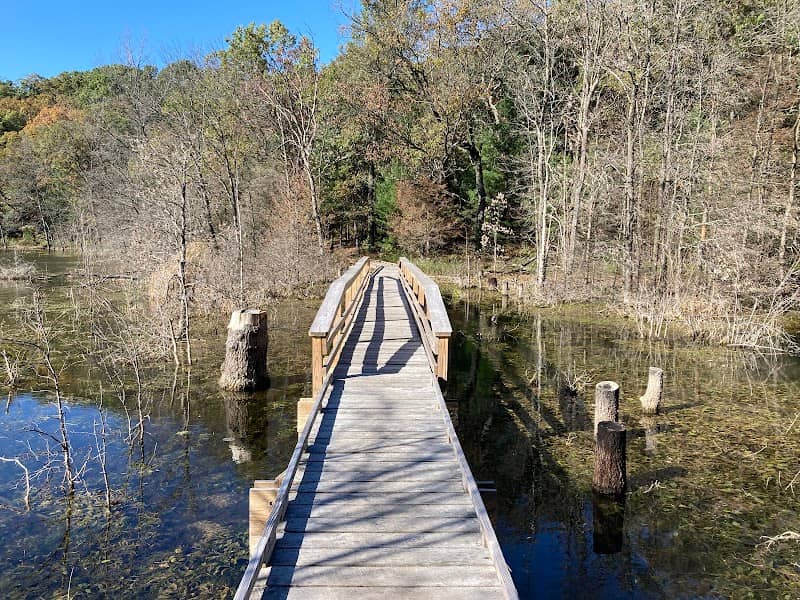 Bohn Lake State Natural Area - Image 2