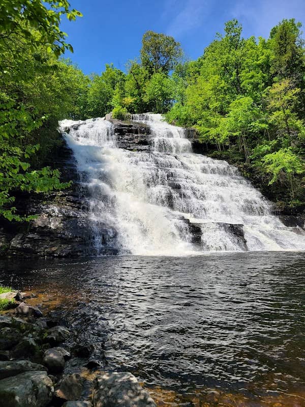 Barberville Falls Preserve - Image 1