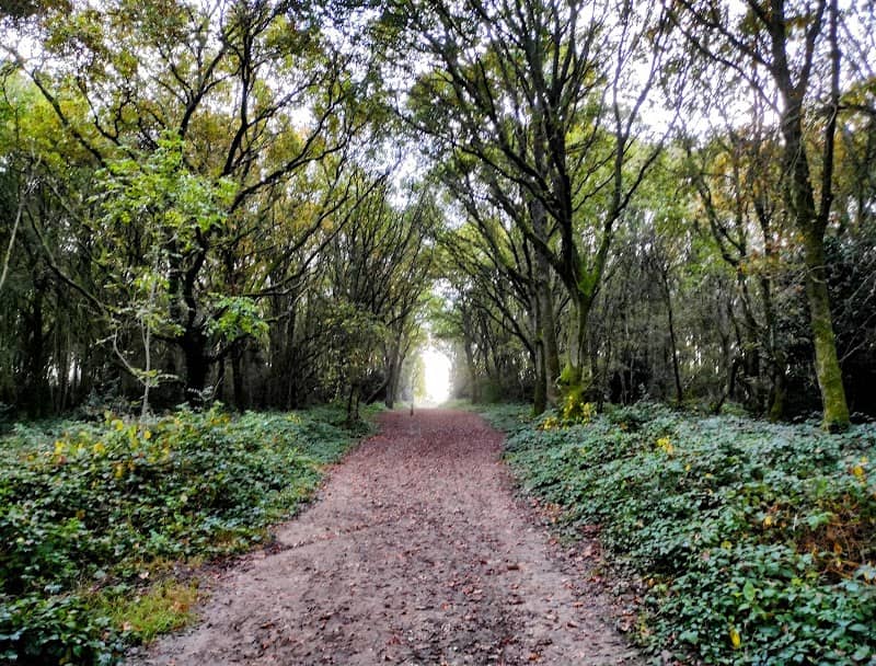 St. John's Wood - Image 1