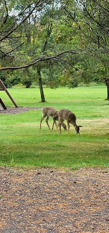 Northridge Park - Image 1