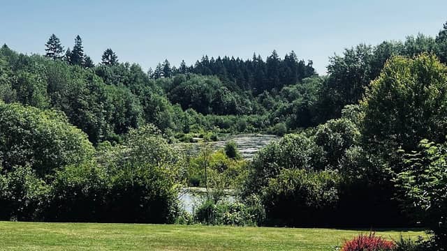 Rood Bridge Park - Image 3