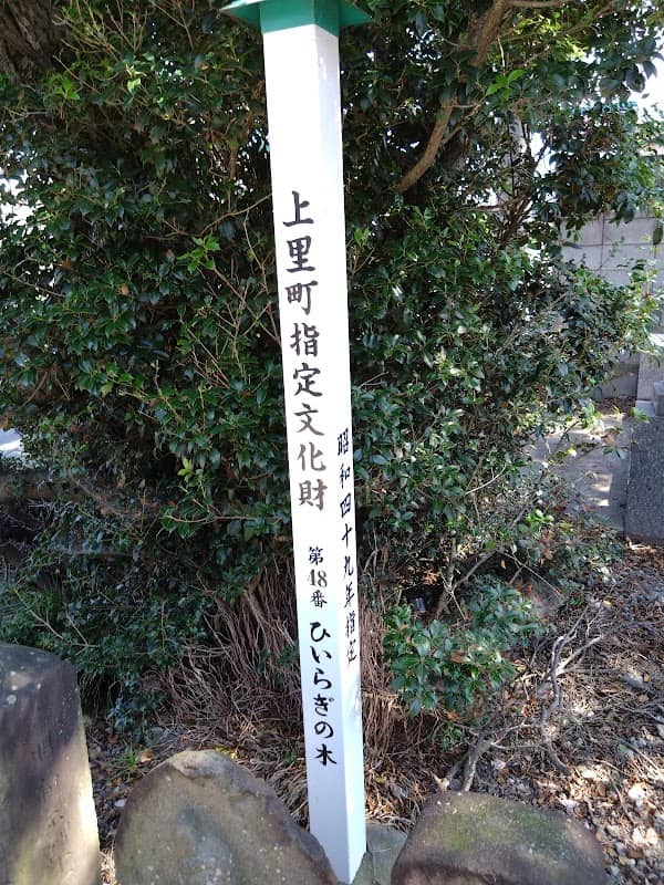 ひいらぎの木 - Image 2