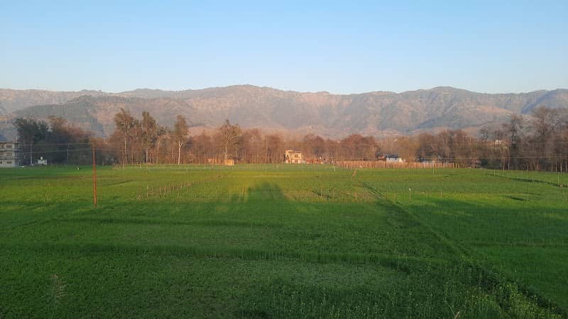 Balh valley Sunset point Four Lane near Nerchowk - Image 1