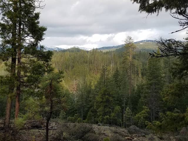 Preacher Meadow Campground - Image 1