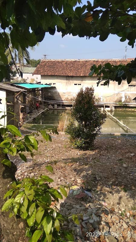 BALONG MANG BONKQ - Image 2