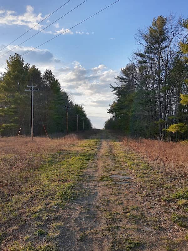 Westbrook City Forest - Image 1