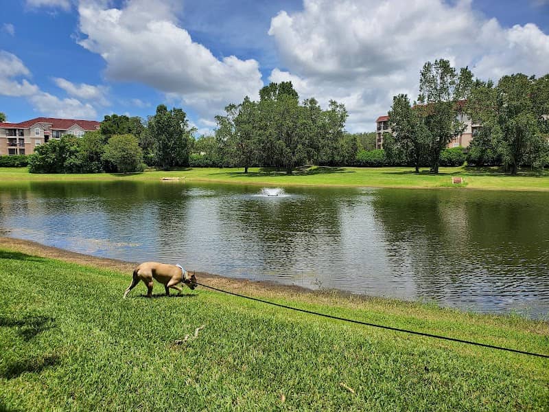 Polly Palmer Park - Image 2
