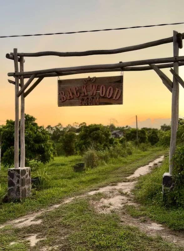 Backwood farm - Image 1
