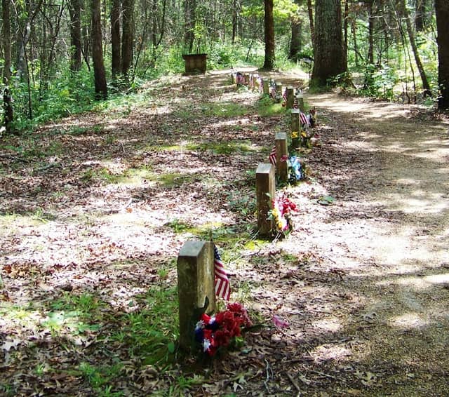 Old Trace and Confederate Gravesites - Image 2