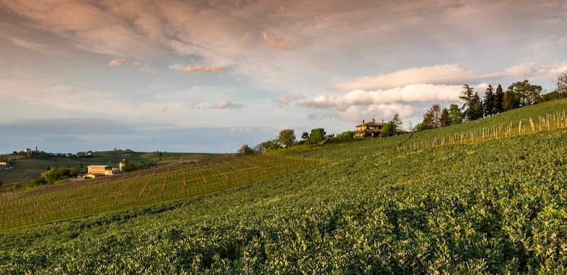 Tenuta Ballerio - Quvestra - Image 1