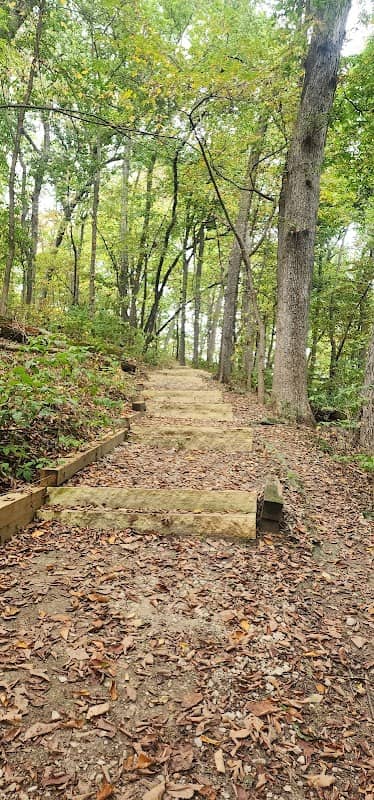 Pappy Dickens Preserve - Image 1