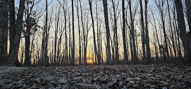 Big Ugly Wildlife Management Area - Image 3