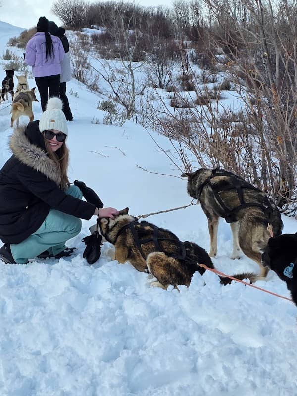 Bear Ridge Adventures (Dog Sledding) - Image 2