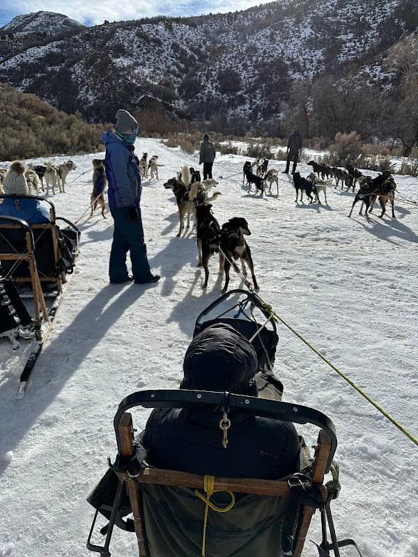Bear Ridge Adventures (Dog Sledding) - Image 3