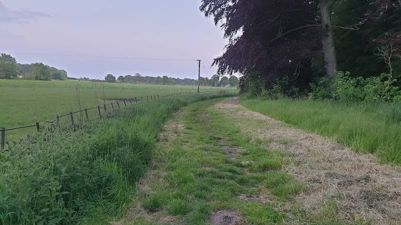 Blankney Stepping Out - Image 1