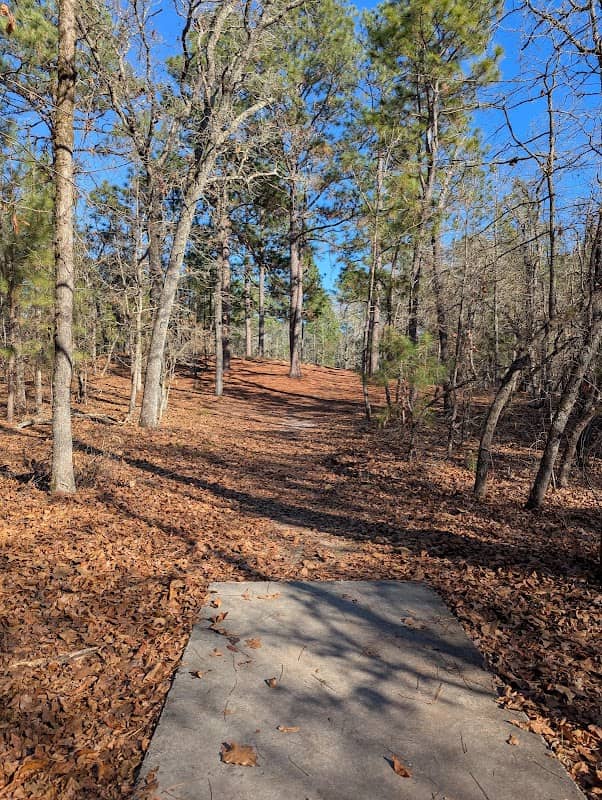 West Pinehurst Community Park - Image 1