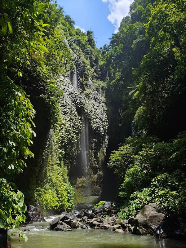Sekumpul waterfall lemukih sector - Image 1
