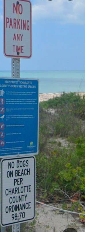 Coquina Lane- Public Beach Access - Image 1