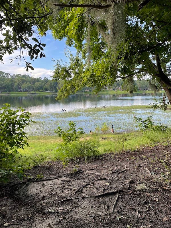 Shannon Lakes North Park - Image 1