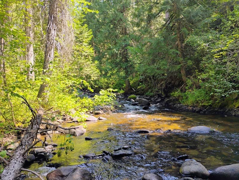 Little Pend Oreille National Wildlife Refuge - Image 3