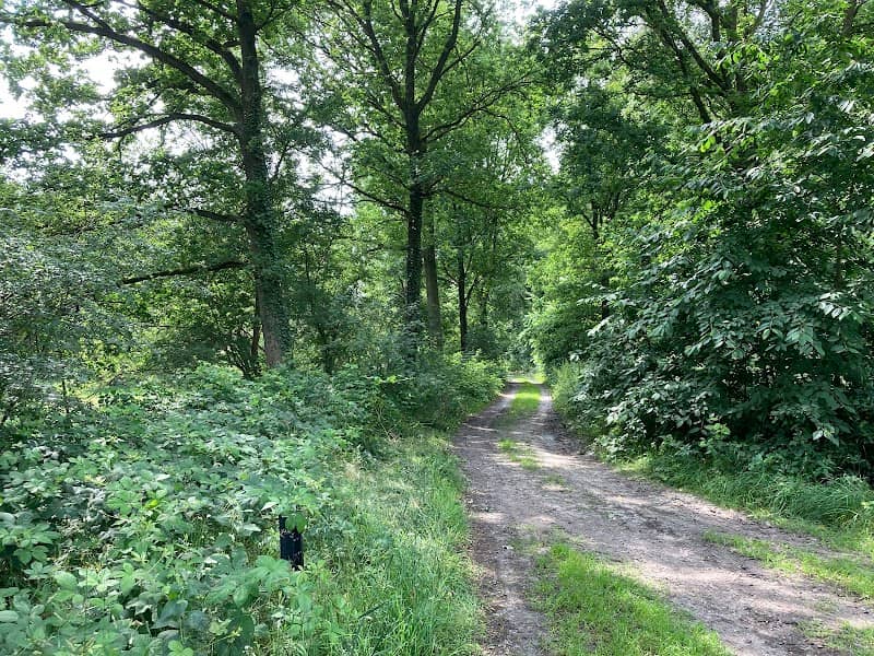Meindersveen - Image 1
