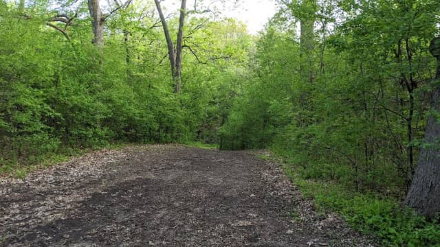 Long Lake Nature Trail - Image 1