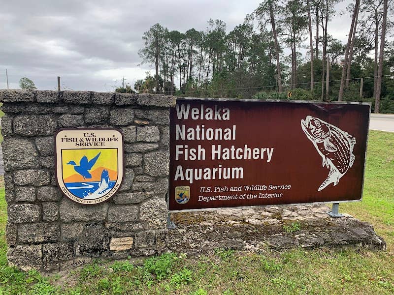 Welaka National Fish Hatchery - Aquarium - Image 1