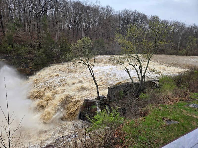Upper Falls - Image 2