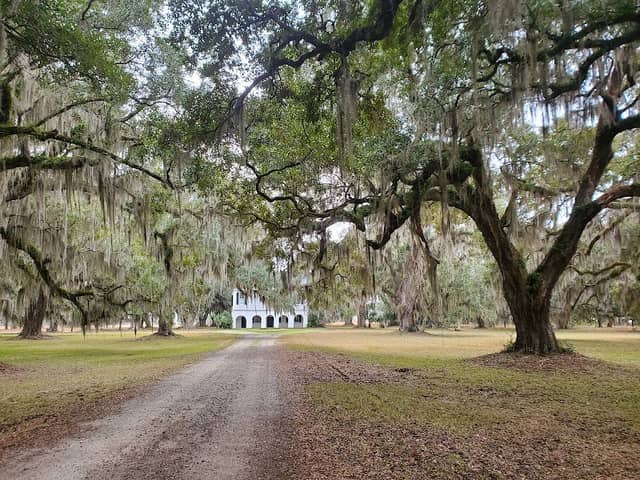 ACE Basin National Wildlife Refuge - The Grove Plantation - Image 1