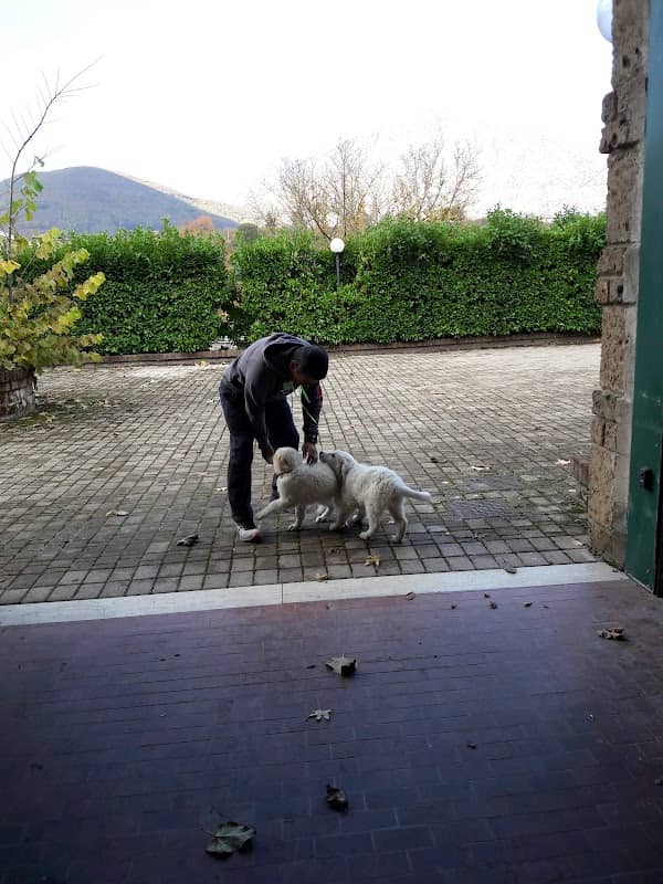Parco Sibilia - Image 1