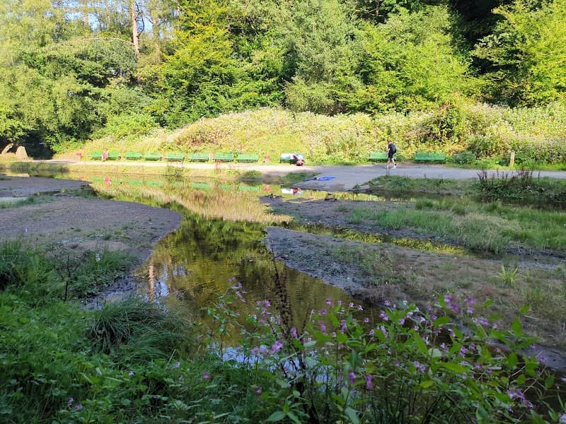 Paddling pool sunnyhurst woods - Image 1