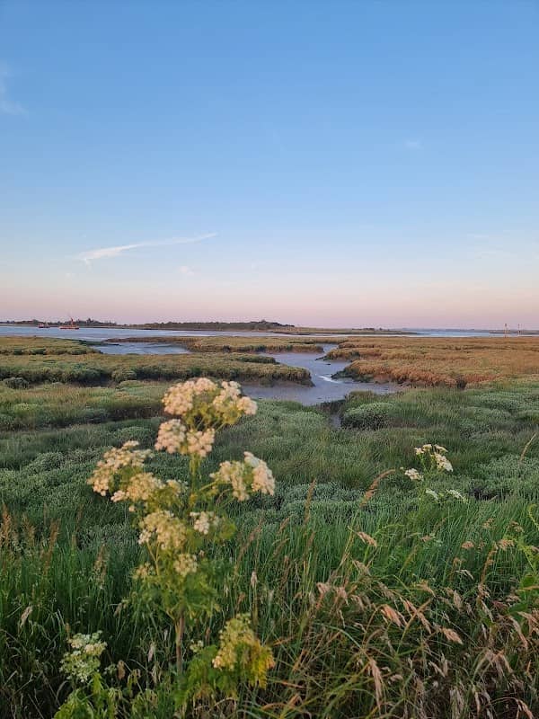 National Trust - Northey Island - Image 1