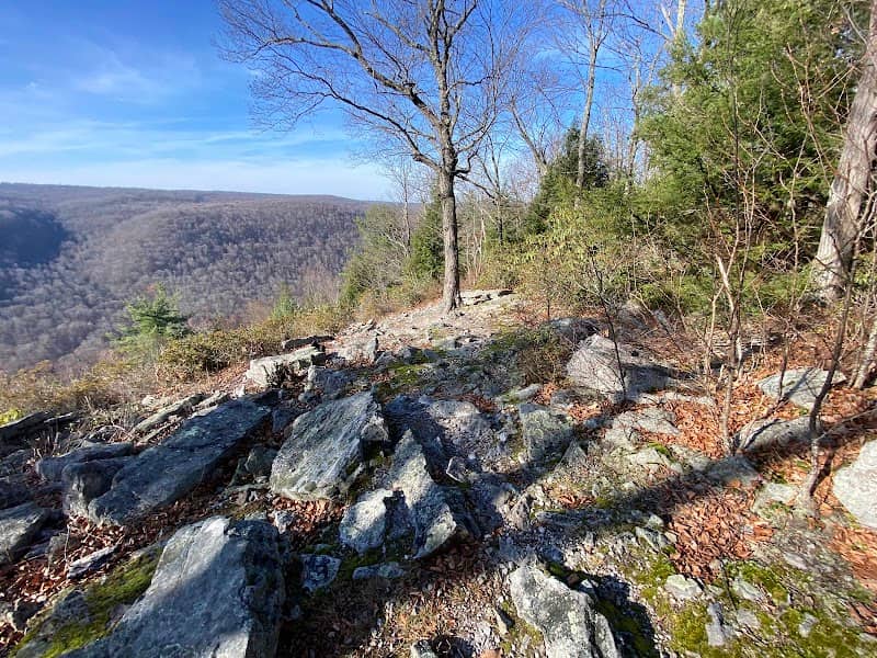Burns Run Wild Area - Image 2